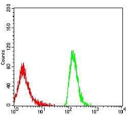 LILRA1 / LIR6 Antibody (clone 4A1E10A6)