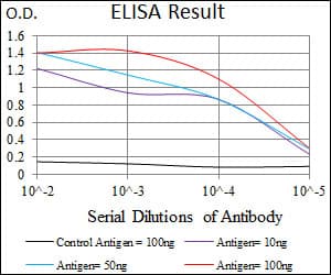 CBX8 Antibody (aa17-222, clone 9C3D4)