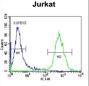 Polyclonal Rabbit anti-Human OR4N4 Antibody (aa68-96, WB)