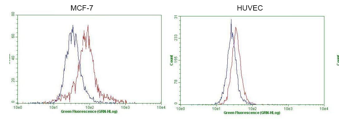 GATA3 Antibody (aa155-443, clone OTI5C11, Carrier-free)