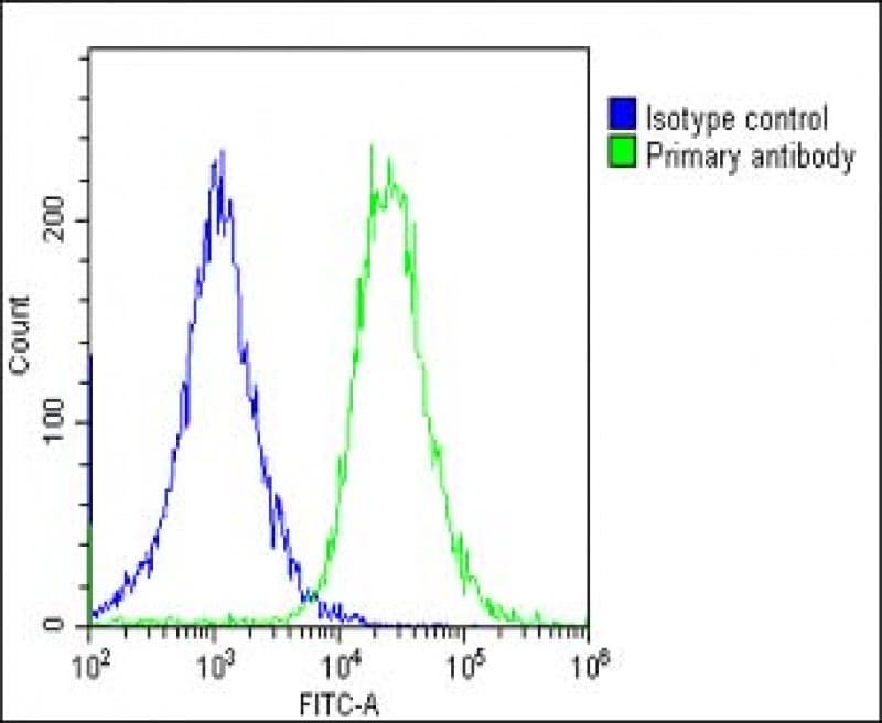 Polyclonal Rabbit anti-Human TF / Transferrin Antibody (IHC, WB)