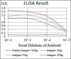 Monoclonal Mouse anti-Human NFE2L2 / NRF2 Antibody (clone 1A6G6, aa356-589, IHC, WB)