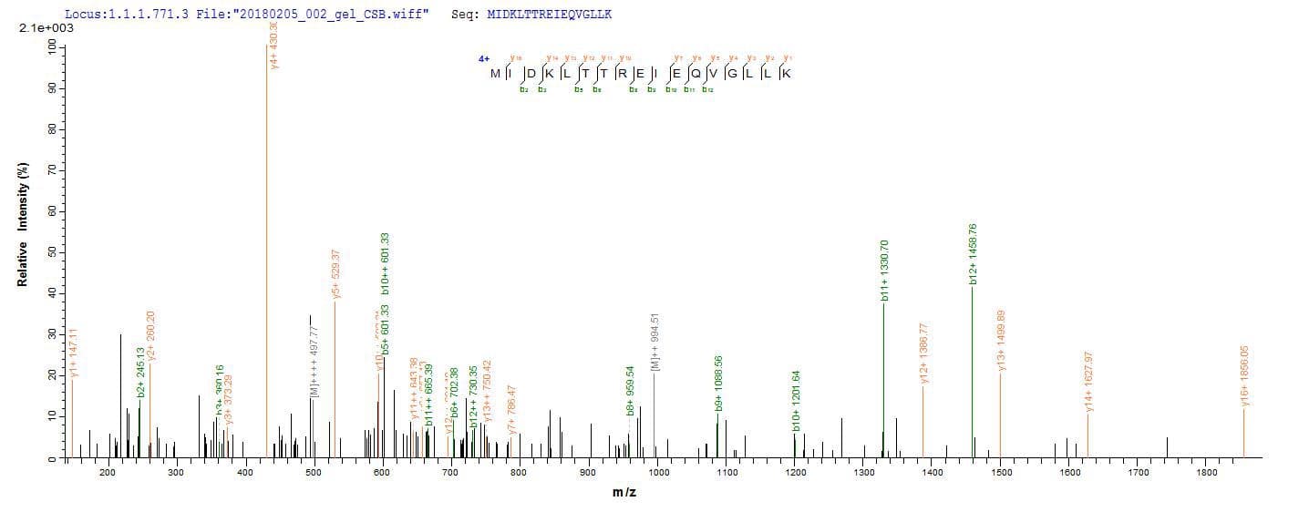 Rotavirus A Non-structural Glycoprotein 4 (Recombinant 6His, N-terminus + Myc, C-terminus)