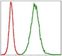 TNNI2 Antibody (clone 2F12G2)