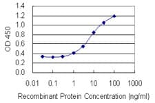 BNIP2 Antibody (clone 8C6)