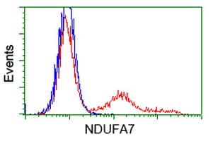 NDUFA7 Antibody (clone OTI2G4, Carrier-free)
