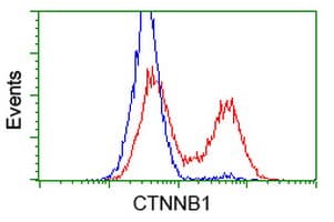CTNNB1 / Beta Catenin Antibody (clone OTI6E7)