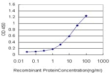 Monoclonal Mouse anti-Human AKAP17A / 721P Antibody (clone 2G8, IF, WB)