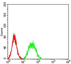 Monoclonal Mouse anti-Human CDCP1 Antibody (clone 5G3H11, IHC, WB)
