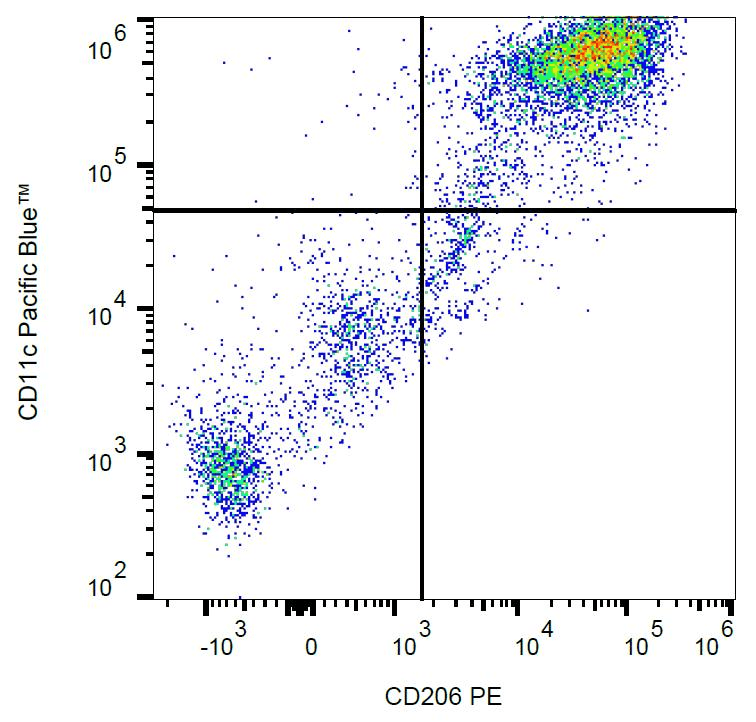Mannose Receptor / CD206 Antibody (clone 15-2, PE)