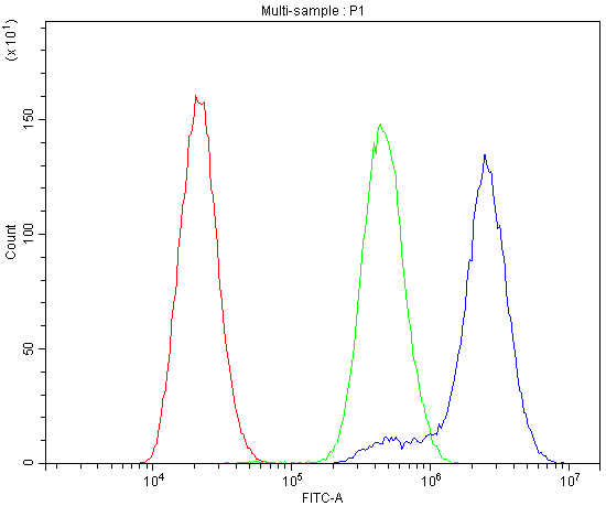 CTNNA1 / Catenin Alpha-1 Antibody (aa143-292)