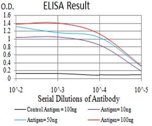 CPV-NS1 Antibody (clone 2B5B7)