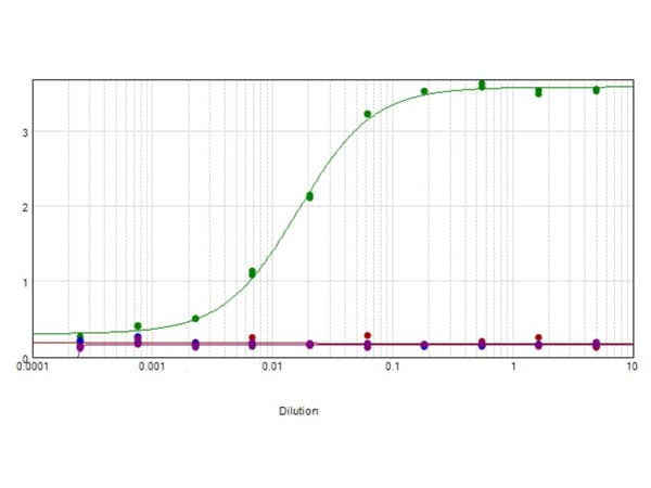 MAPK1 / ERK2 Antibody (Internal, clone 3H9.A1.A8)