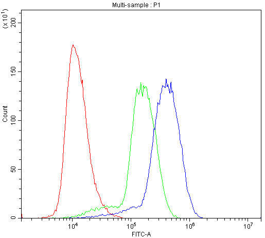 NALP3 / NLRP3 Antibody (aa12-31)