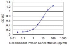 GPR48 / LGR4 Antibody (clone 8F6)