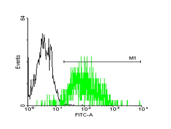 IHC-plus™ STI1 / STIP1 Antibody (clone 2E11)