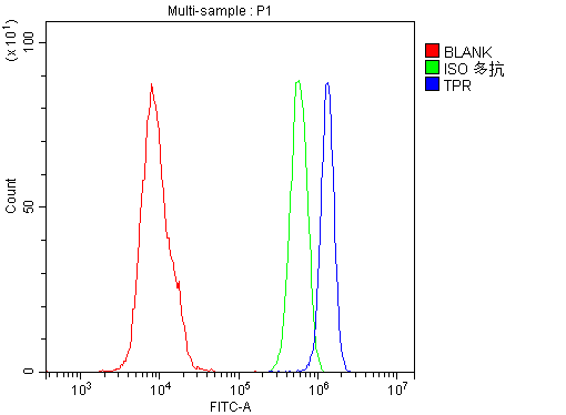 TPR Antibody