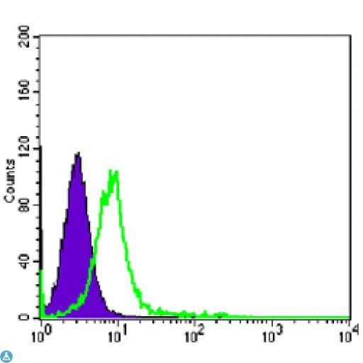 CHD3 Antibody