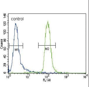 MUSK Antibody (aa829-859)