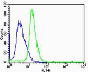 Polyclonal Rabbit anti-Human HTR1A / 5-HT1A Receptor Antibody (aa239-273, WB)