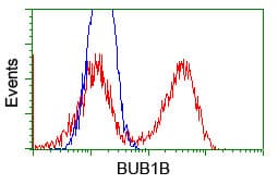BUB1B / BubR1 Antibody (clone OTI3D9)