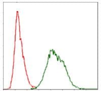 UBB / Ubiquitin B Antibody (clone 3C12)