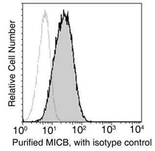 MICB Antibody (clone 12, Preservative Free)