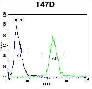 FGB / Fibrinogen Beta Chain Antibody (aa29-58)