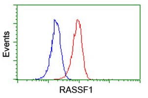 RASSF1 / RASSF1A Antibody (aa1-341, clone 8.00E+04, Carrier-free)
