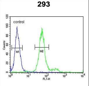 ADAMTS18 Antibody (aa1066-1095)