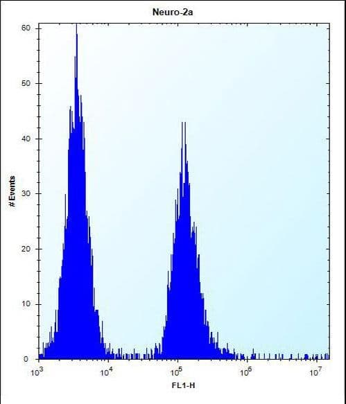 Polyclonal Rabbit anti-Human VASH2 Antibody (aa216-245, WB)