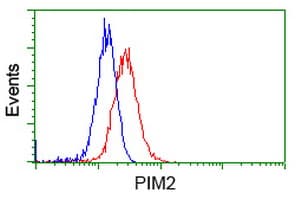PIM2 / Pim-2 Antibody (clone OTI9A5)