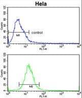 ADH6 Antibody (aa209-240)