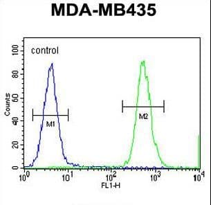HNRNPCL1 Antibody (aa252-281)
