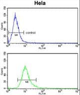 LPCAT1 / AYTL2 Antibody (aa506-534)