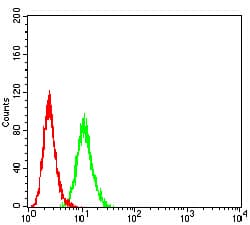 IHC-plus™ IGHM / IgM Antibody (clone 8B9D3)