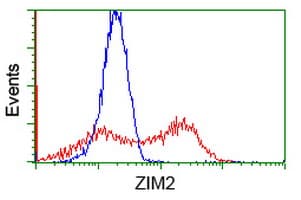 ZIM2 Antibody (clone OTI7G1)