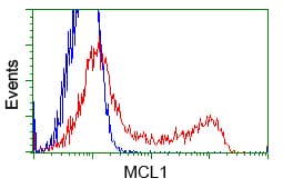 MCL1 / MCL 1 Antibody (clone OTI10D10, Carrier-free)