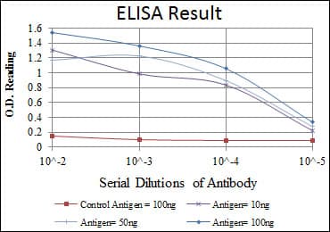 Monoclonal Mouse anti-Human OLIG2 Antibody (clone 1G11, IHC, IF, WB)