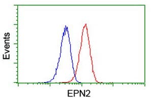 EPN2 Antibody (clone OTI1B4, Carrier-free)
