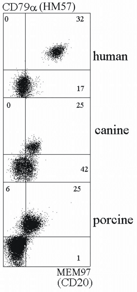 CD20 Antibody (clone MEM-97)