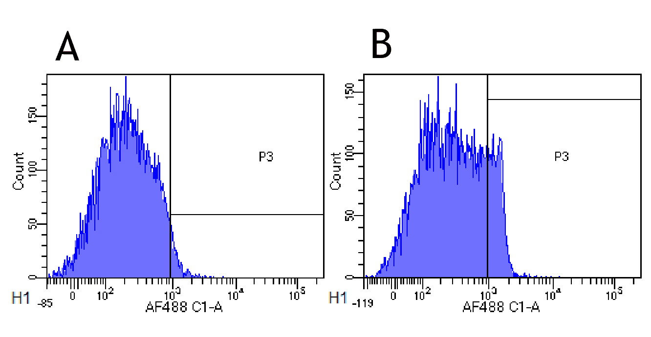 CD4 Antibody (CD4, clone MT310)