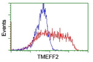 TMEFF2 Antibody (clone OTI1E1, Carrier-free)