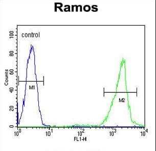 Polyclonal Rabbit anti-Human HMMR / CD168 / RHAMM Antibody (aa668-697, IHC, WB)