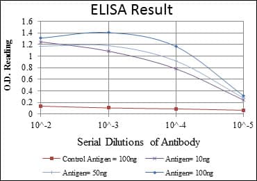 CCT2 / CCT Beta Antibody (clone 5B5C4)