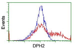 DPH2 Antibody (clone OTI3A12)