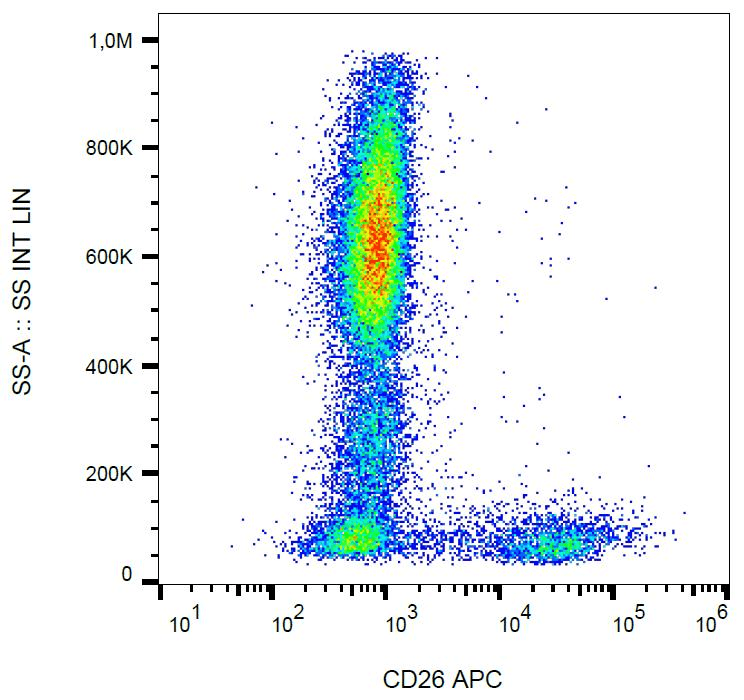 DPP4 / CD26 Antibody (clone BA5b, APC)