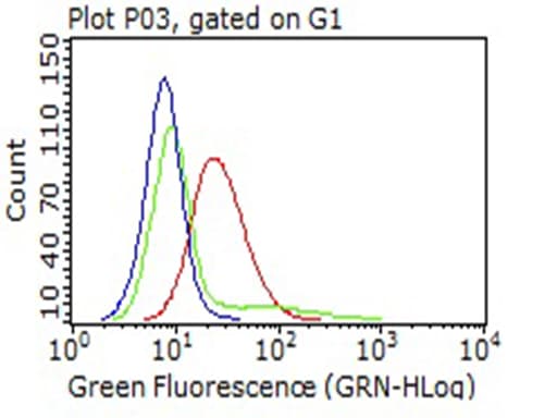 LAMP1 / CD107a Antibody (aa29-382, clone OTI8B1)