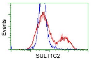 SULT1C2 / Sulfotransferase 1C2 Antibody (clone OTI6F2, Carrier-free)