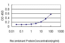 IHC-plus™ PRPK / TP53RK Antibody (clone 4B9-1H3)